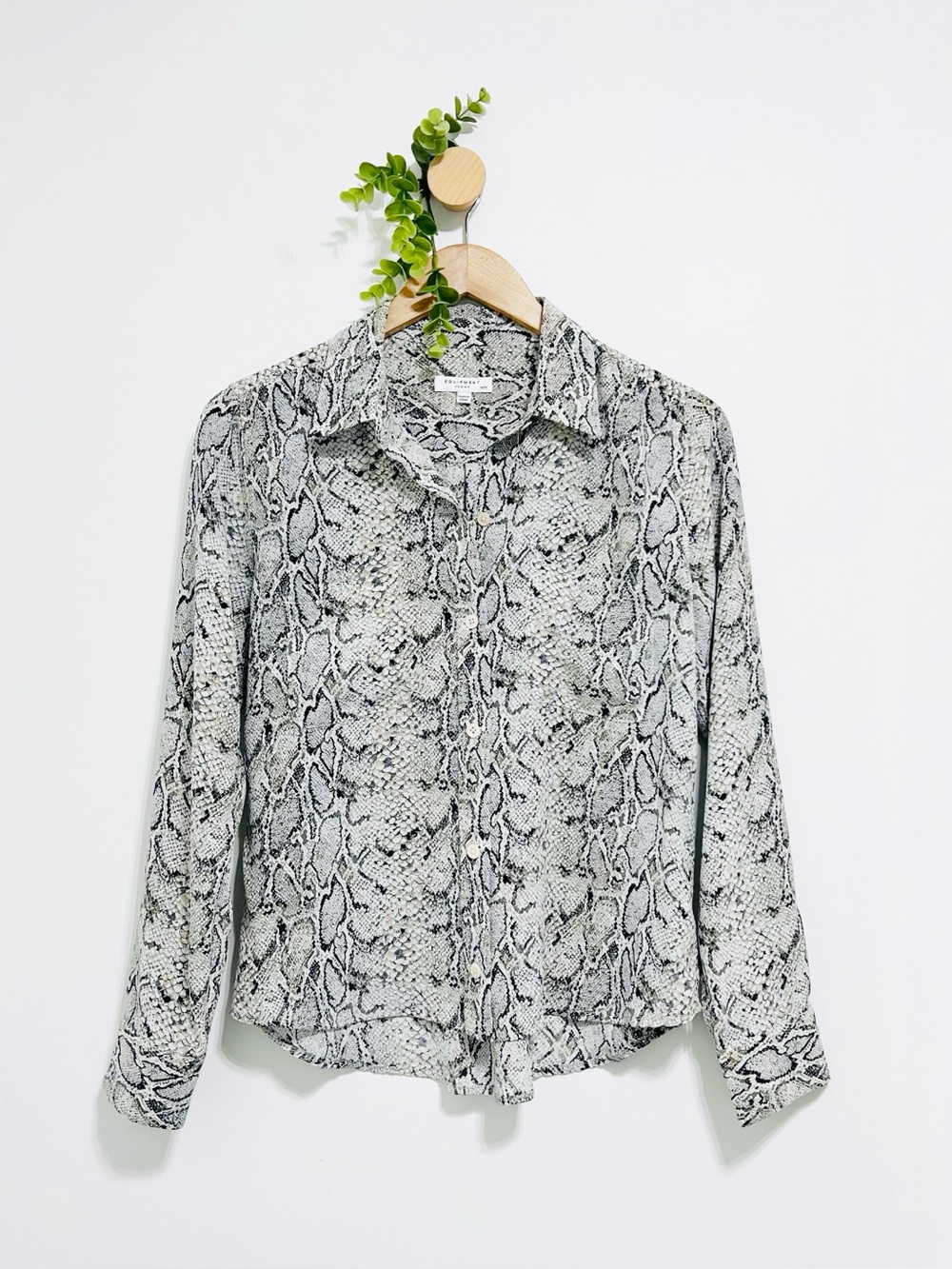 Equipment Femme 100% Silk Snake Print Career Button Front Blouse